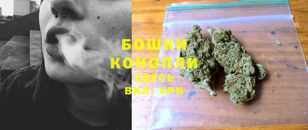 PSILOCYBIN Алексеевка