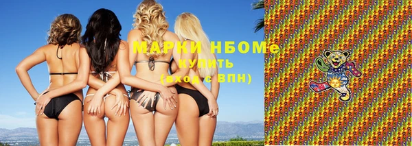 стаф Алзамай