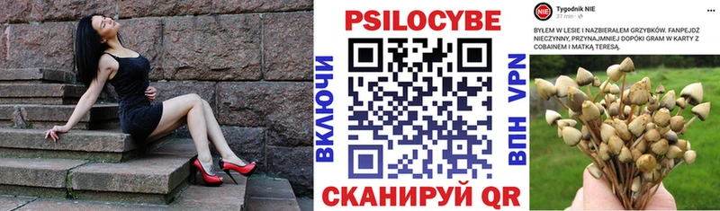 Галлюциногенные грибы мицелий даркнет сайт Дмитриев