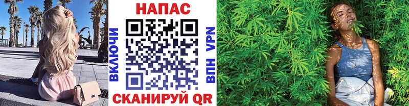где найти наркотики  нарко площадка клад  Каннабис семена  Дмитриев 